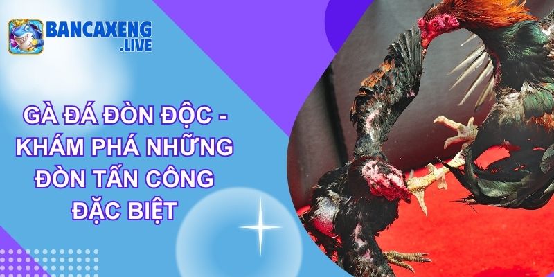 Gà Đá Đòn Độc - Khám Phá Những Đòn Tấn Công Đặc Biệt