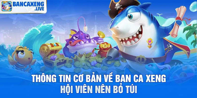 Tổng quan thông tin thương hiệu Ban Ca Xeng uy tín 2026